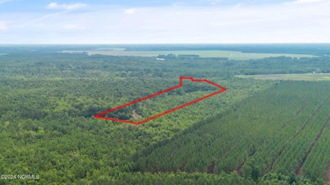 Tiny photo for 1 Lizzie Henry Road, Ivanhoe, NC 28447 (MLS # 100551625)