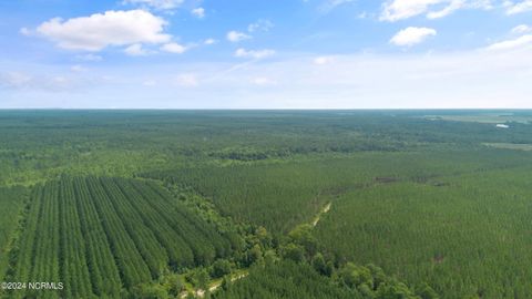 Tiny photo for 1 Lizzie Henry Road, Ivanhoe, NC 28447 (MLS # 100551625)