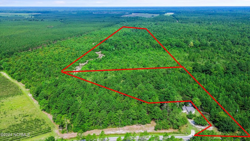 Photo of 1 Lizzie Henry Road, Ivanhoe, NC 28447 (MLS # 100551625)