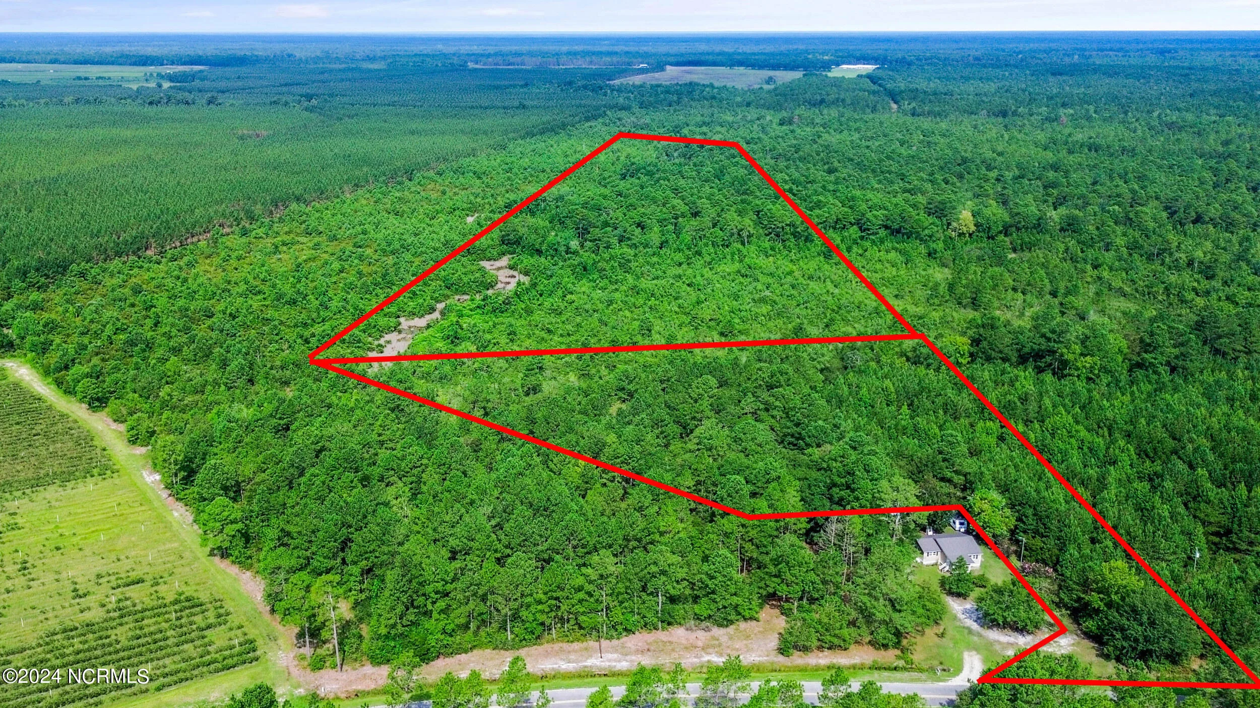 1 Lizzie Henry Road, Ivanhoe, NC, 28447