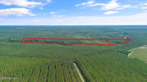 Tiny photo for 1 Lizzie Henry Road, Ivanhoe, NC 28447 (MLS # 100551625)