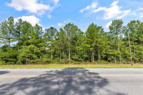 Tiny photo for 1 Lizzie Henry Road, Ivanhoe, NC 28447 (MLS # 100551625)
