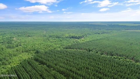 Tiny photo for 1 Lizzie Henry Road, Ivanhoe, NC 28447 (MLS # 100551625)