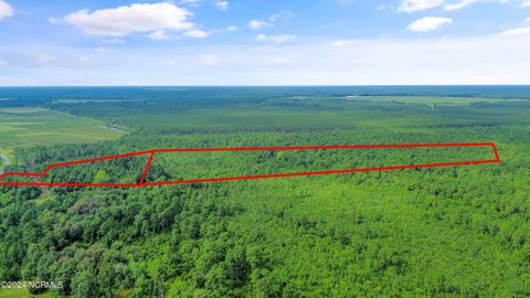 Tiny photo for 1 Lizzie Henry Road, Ivanhoe, NC 28447 (MLS # 100551625)