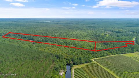 Tiny photo for 1 Lizzie Henry Road, Ivanhoe, NC 28447 (MLS # 100551625)