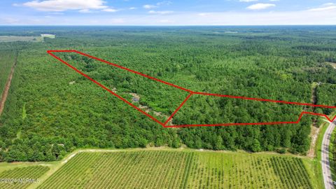 Tiny photo for 1 Lizzie Henry Road, Ivanhoe, NC 28447 (MLS # 100551625)