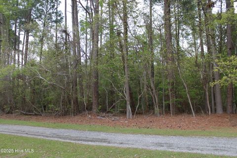 Vacant Land For Sale - 305/307 Yakima Trail<br/> Edenton, NC 27932