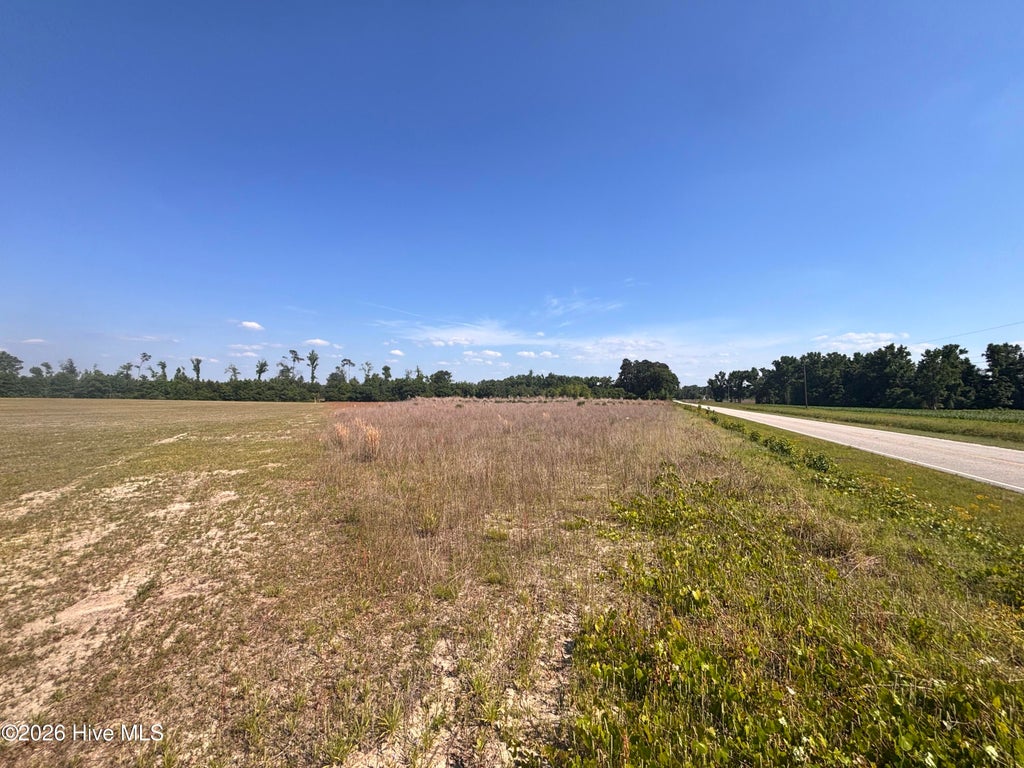 Photo of 2 Bass Lake Road, Clinton, NC 28328 (MLS # 100580407)