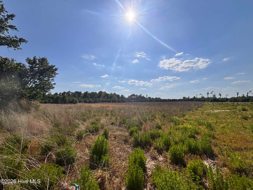 Photo of 2 Bass Lake Road, Clinton, NC 28328 (MLS # 100580407)