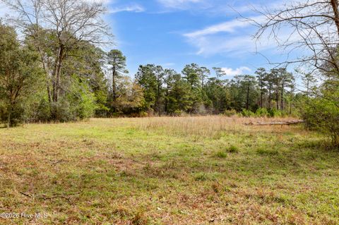 Tiny photo for 5535 Fulton Avenue, Castle Hayne, NC 28429 (MLS # 100560703)