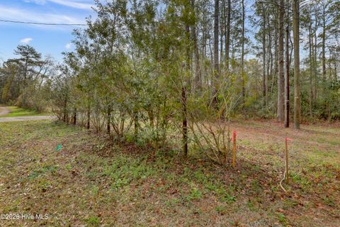 Tiny photo for 5535 Fulton Avenue, Castle Hayne, NC 28429 (MLS # 100560703)