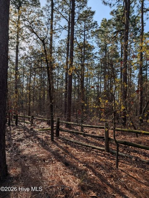 Vacant Land For Sale - 350 Longleaf Drive<br/> West End, NC 27376