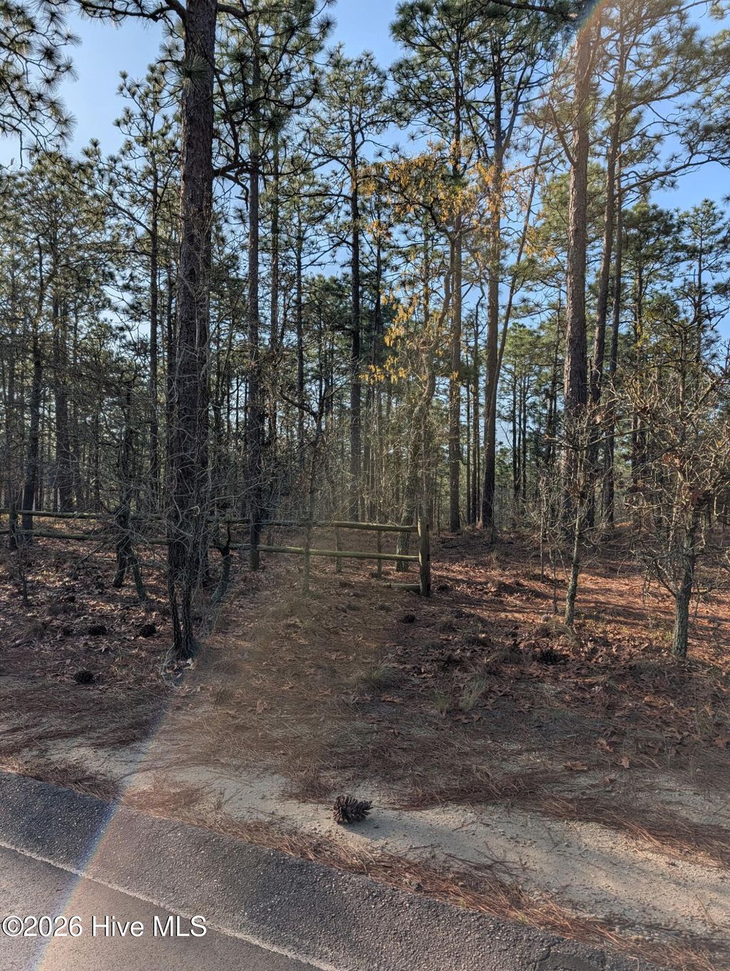 Photo of 350 Longleaf Drive, West End, NC 27376 (MLS # 100564122)