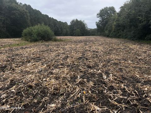 Vacant Land For Sale - 450 Swamp Road<br/> Pantego, NC 27860