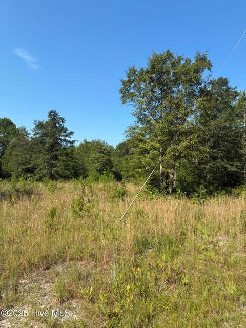 Photo of 0 Gully Creek Trail NE, Leland, NC 28451 (MLS # 100592446)