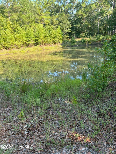 Tiny photo for 0 Gully Creek Trail NE, Leland, NC 28451 (MLS # 100592446)