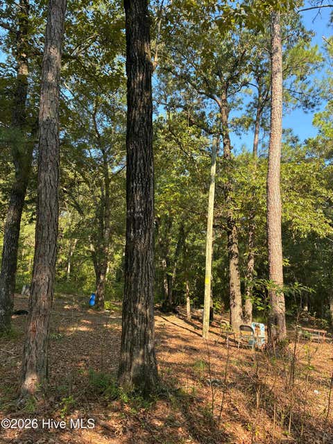 Tiny photo for 0 Gully Creek Trail NE, Leland, NC 28451 (MLS # 100592446)