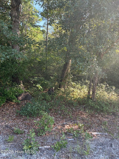 Tiny photo for 0 Gully Creek Trail NE, Leland, NC 28451 (MLS # 100592446)