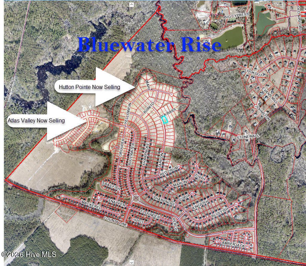 Photo of 4015 Bluewater Boulevard, New Bern, NC 28562 (MLS # 100566027)