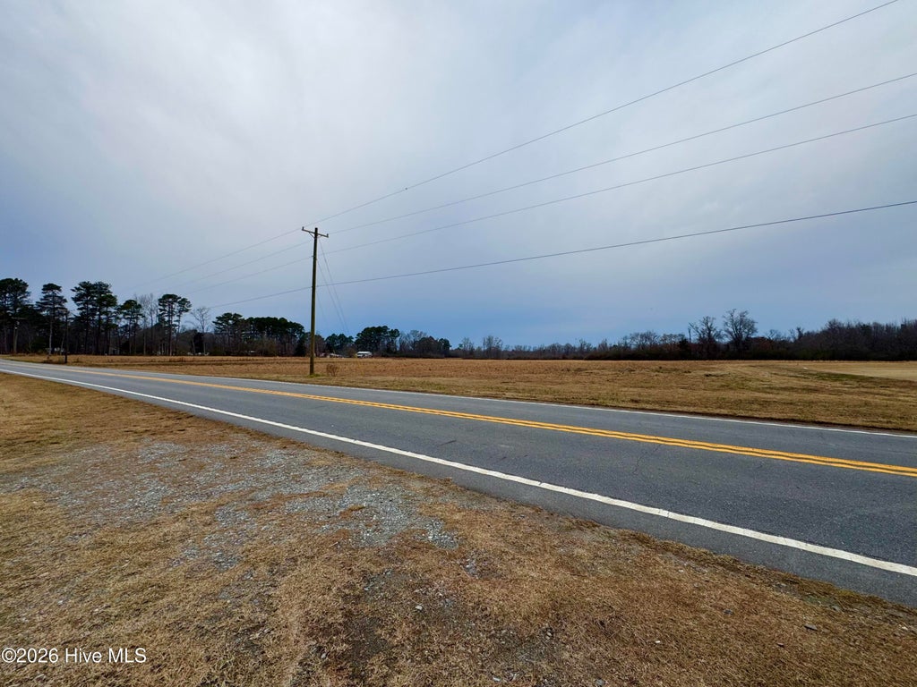 Photo of 0 Nc 222 Hwy, Fremont, NC 27830 (MLS # 100590494)