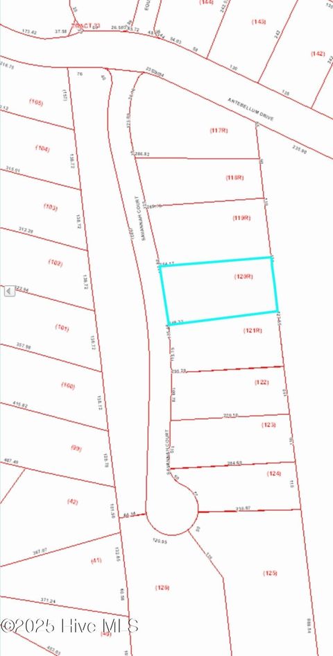 Vacant Land For Sale - 107 Savannah Court<br/> Havelock, NC 28532