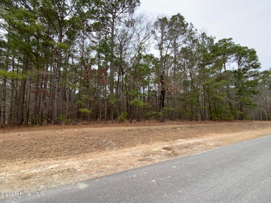 101 LONG LEAF LN, GOLDSBORO, NC 27534 - Image f6ba54c4e050ae036200bc504c548f2a/2462962350