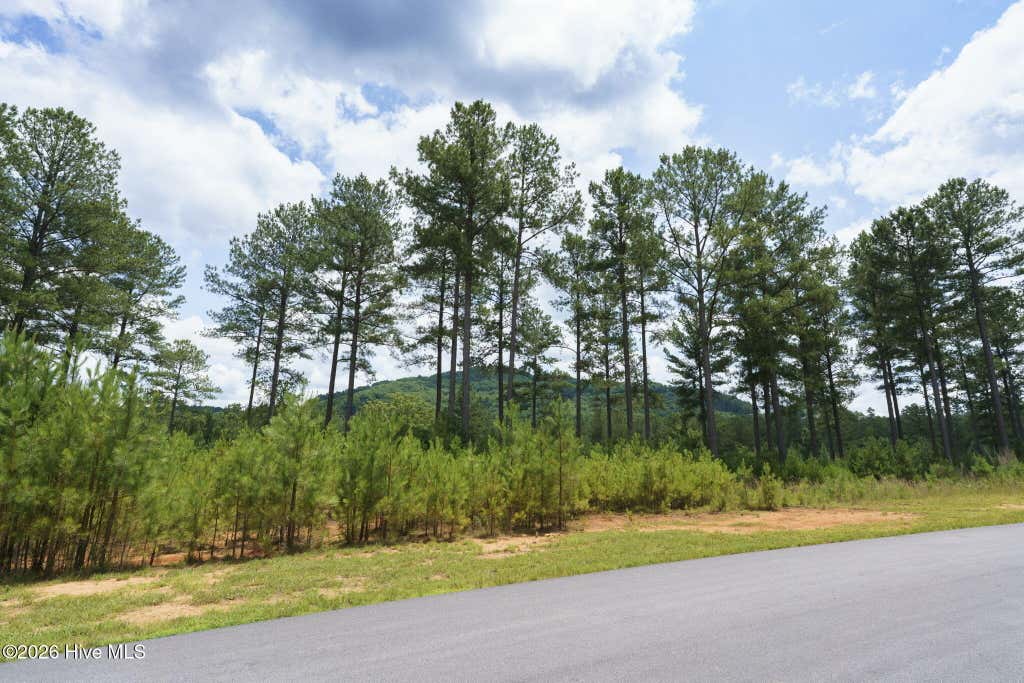 Photo of 343 Loop Lane, Blairsville, GA 30512 (MLS # 100586110)