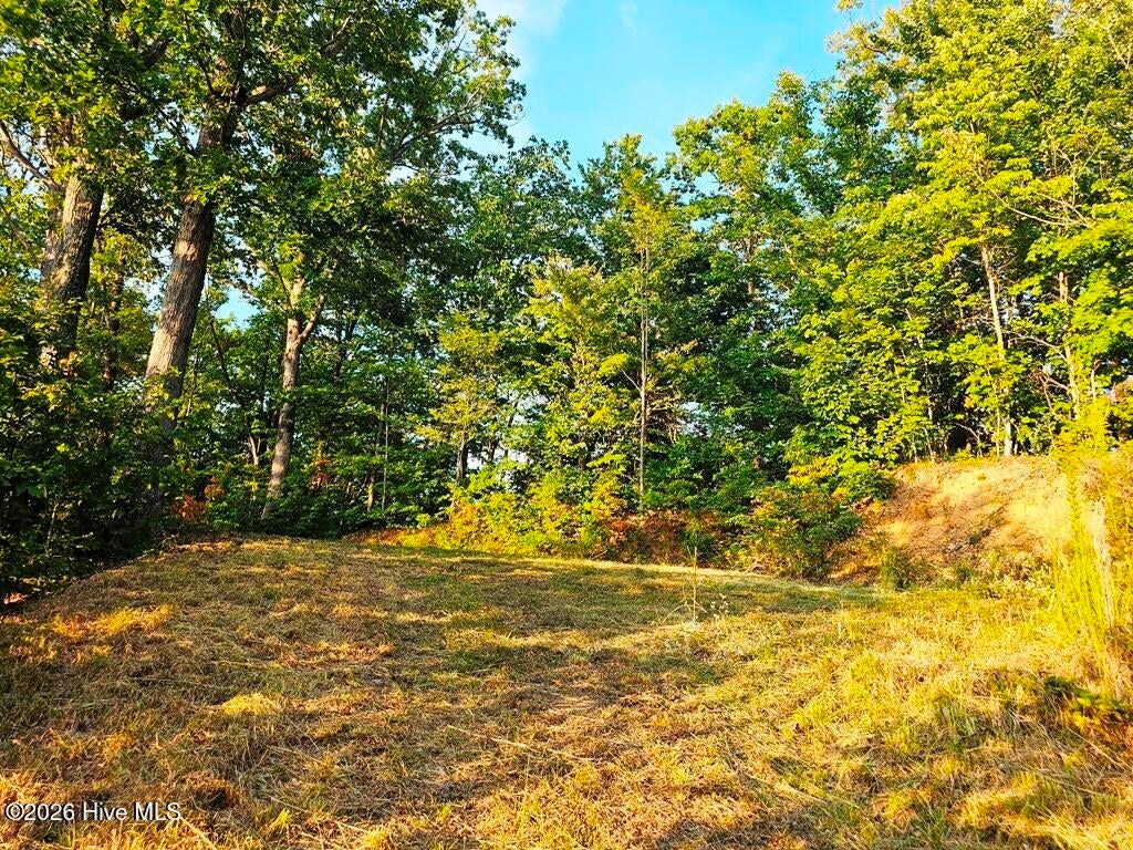 Photo of 45 Timberwood Drive, Marble, NC 28905 (MLS # 100605185)