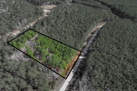 Vacant Land For Sale - 1265 Rogers Road<br/> Lincoln County, Tignall, GA 30668