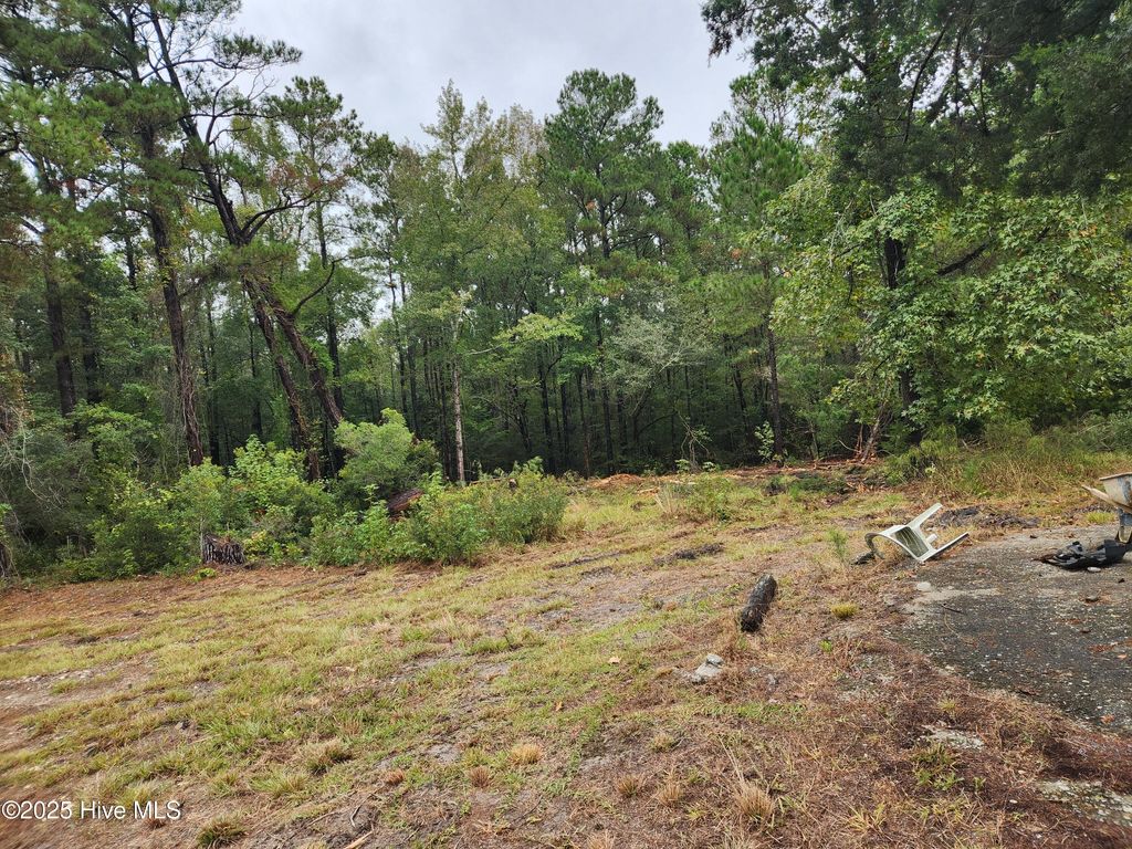 Photo of 210 Hwy, Currie, NC 28435 (MLS # 100535116)