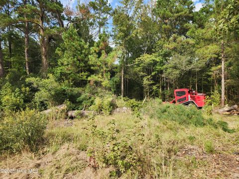 Tiny photo for 210 Hwy, Currie, NC 28435 (MLS # 100535116)