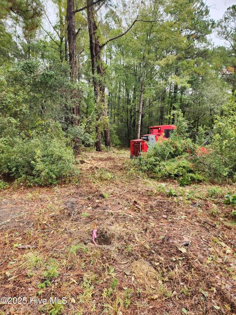 Tiny photo for 210 Hwy, Currie, NC 28435 (MLS # 100535116)