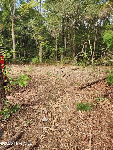Tiny photo for 210 Hwy, Currie, NC 28435 (MLS # 100535116)