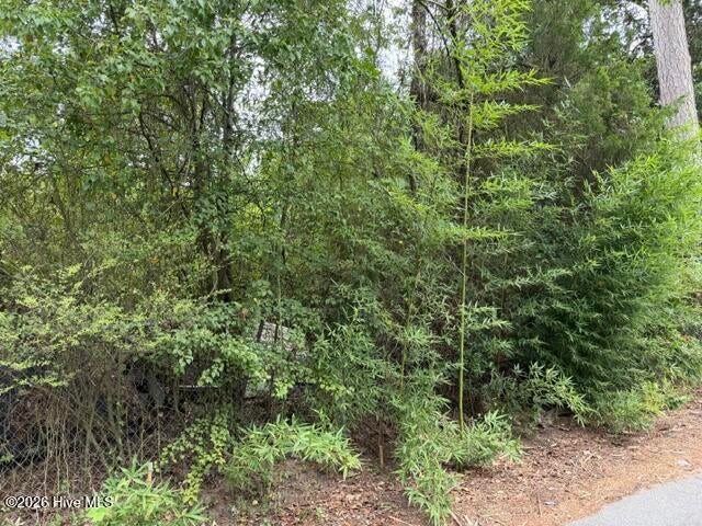 Photo of 105 Lamar Street, Beech Island, SC 29842 (MLS # 100599654)