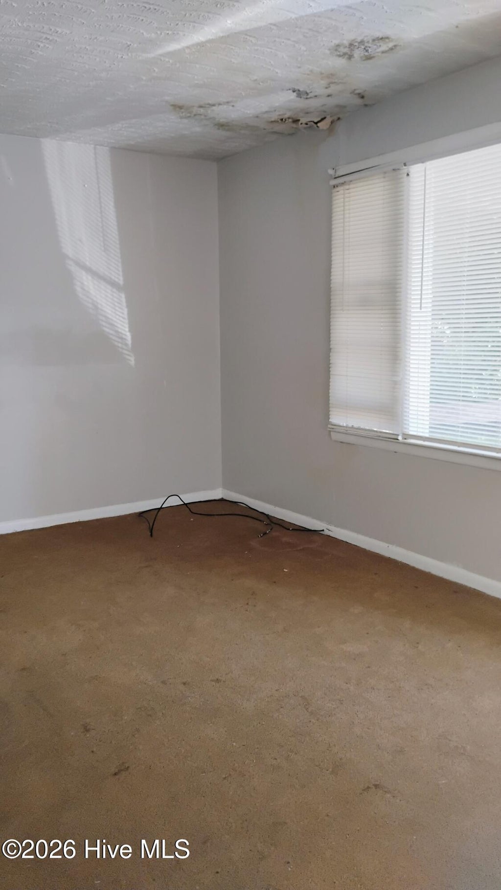 Photo of 264 Japonica Avenue, Augusta, GA 30901 (MLS # 100610286)