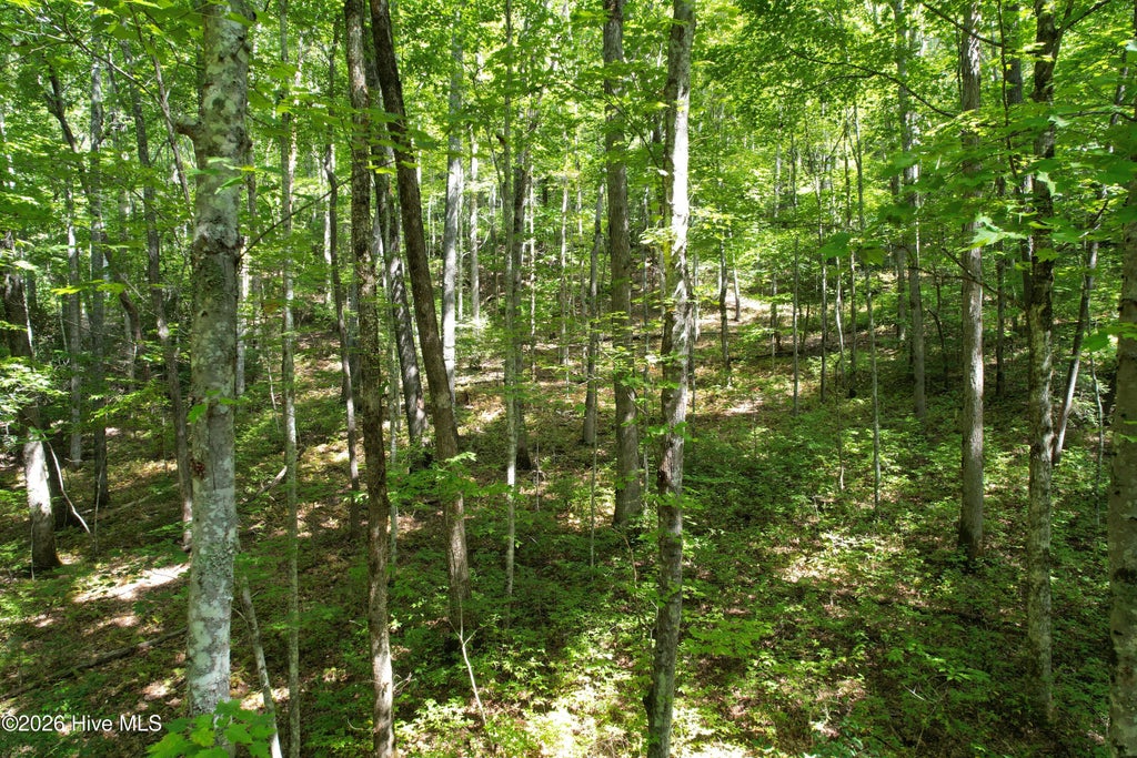Photo of 22 Nantahala Harbor Drive, Topton, NC 28781 (MLS # 100605201)