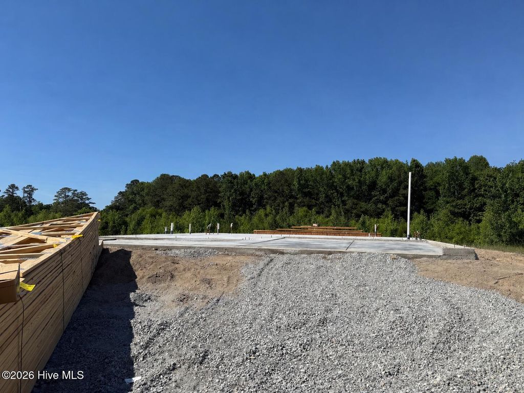 Photo of 51 Fiddleneck Court, Selma, NC 27576 (MLS # 100570603)