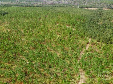 Vacant Land For Sale - Hwy 297 - Tracts 2,3,4 &5<br/> Soperton, GA 30457
