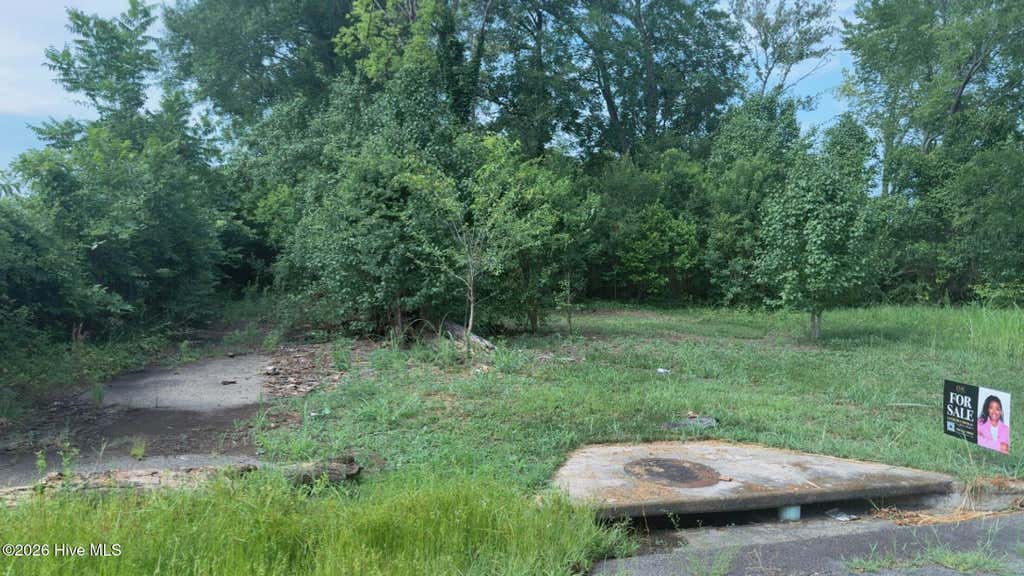 Photo of 1258 Steiner Avenue, Augusta, GA 30901 (MLS # 100585690)