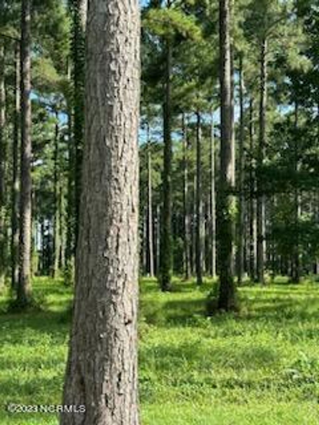 Photo of 95 147 Dawson Creek Blvd, Oriental, NC 28571 (MLS # 100400496)