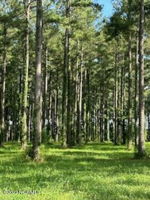 Vacant Land For Sale - 95 147 Dawson Creek Blvd<br/> Oriental, NC 28571