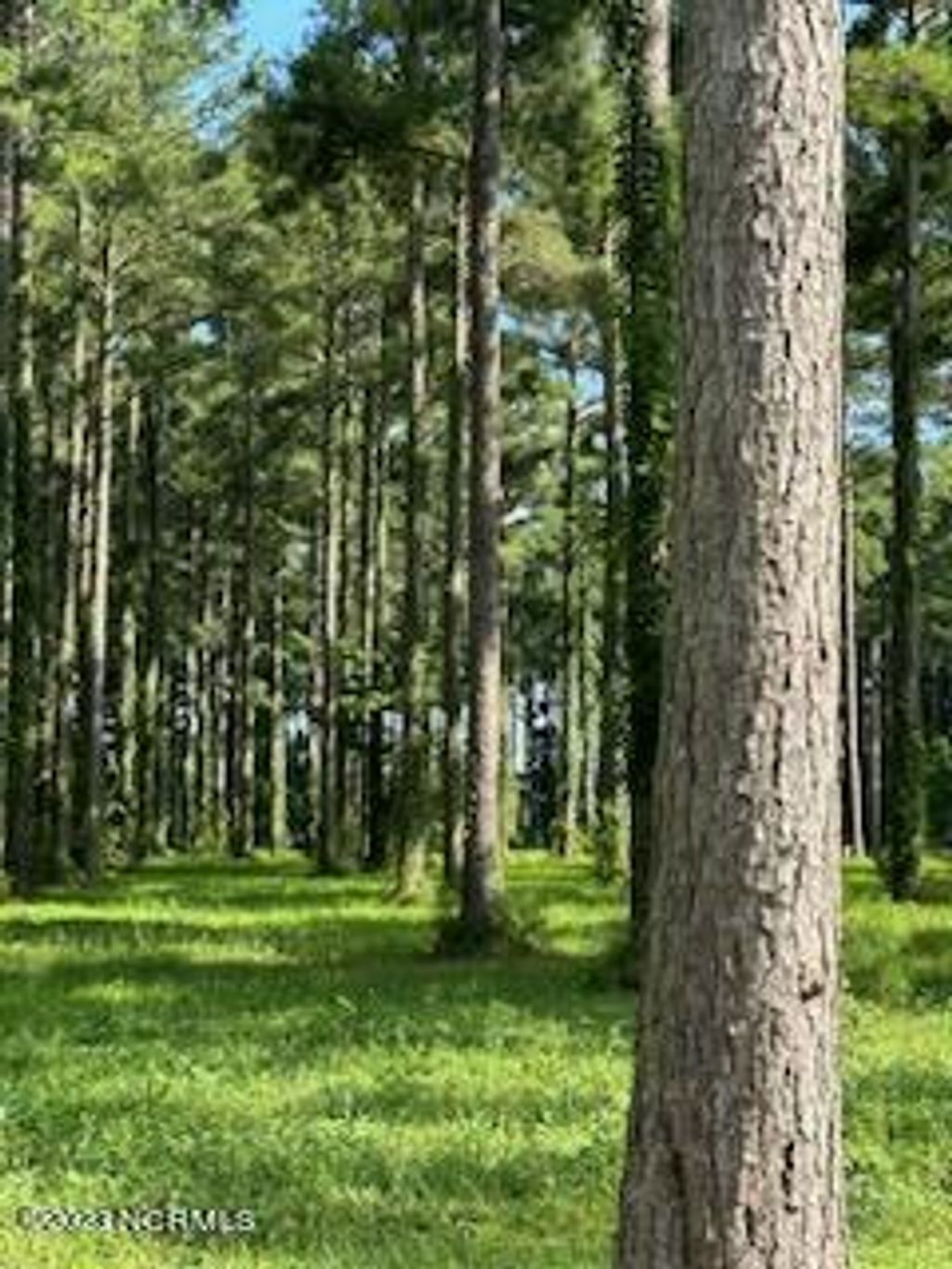 Photo of 95 147 Dawson Creek Blvd, Oriental, NC 28571 (MLS # 100400496)