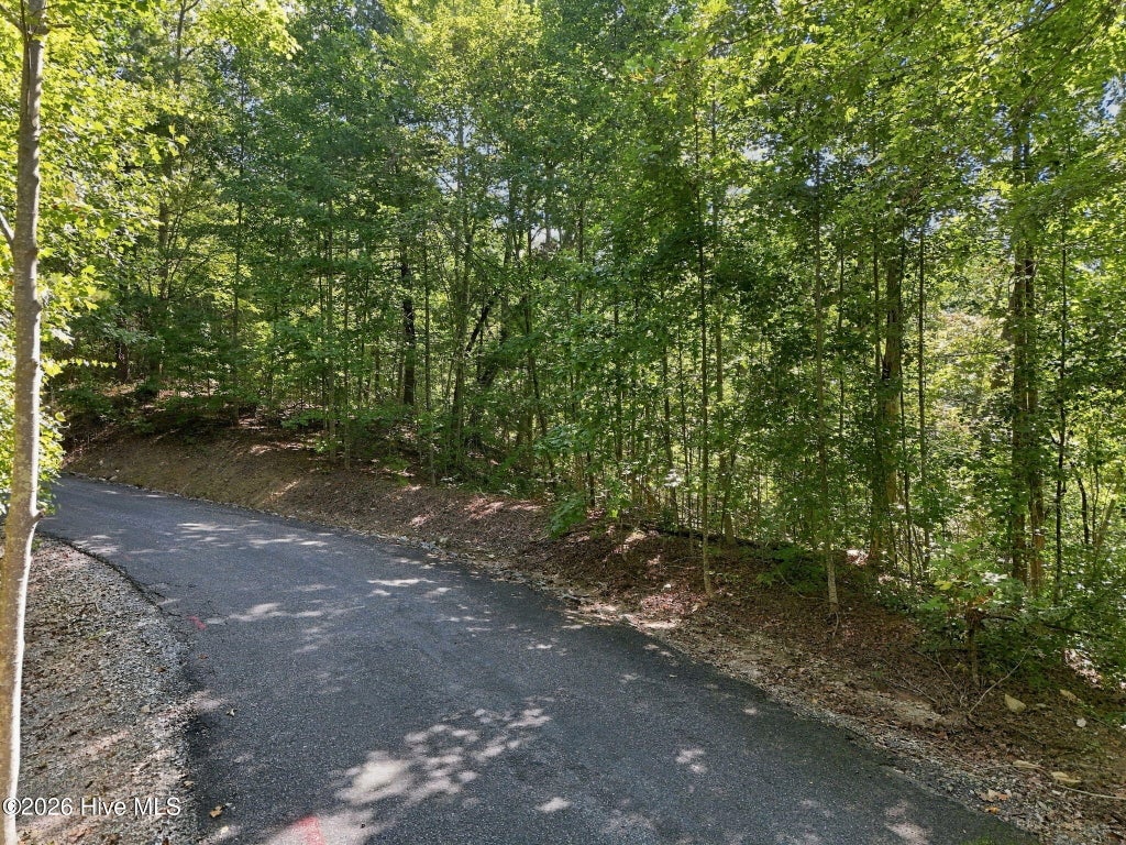Photo of 0 Nathan Mcdaniel Drive, Nebo, NC 28761 (MLS # 100605028)