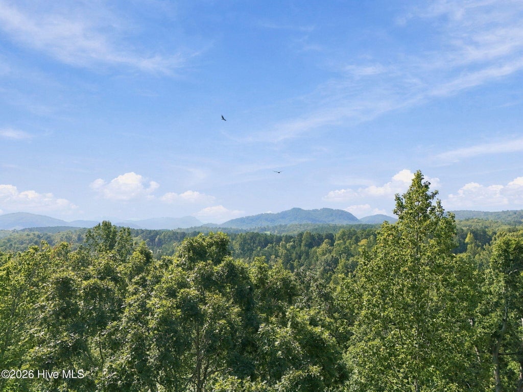 Photo of 0 Nathan Mcdaniel Drive, Nebo, NC 28761 (MLS # 100605028)