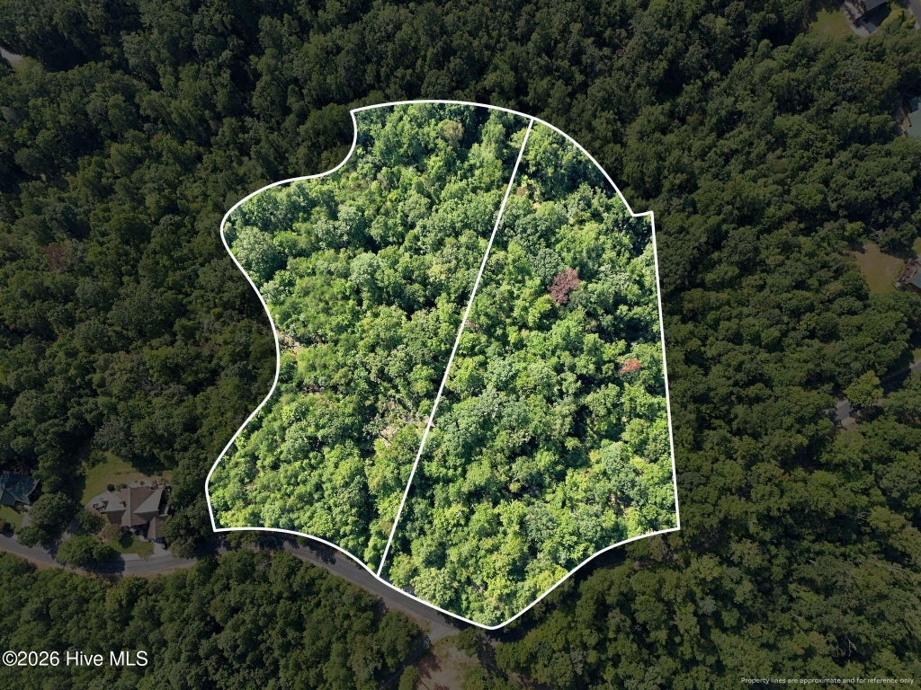 Photo of 0 Nathan Mcdaniel Drive, Nebo, NC 28761 (MLS # 100605028)
