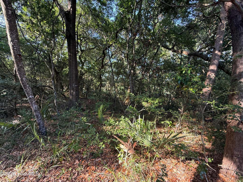 Photo of 207 Stede Bonnet Wynd, Bald Head Island, NC 28461 (MLS # 100581428)