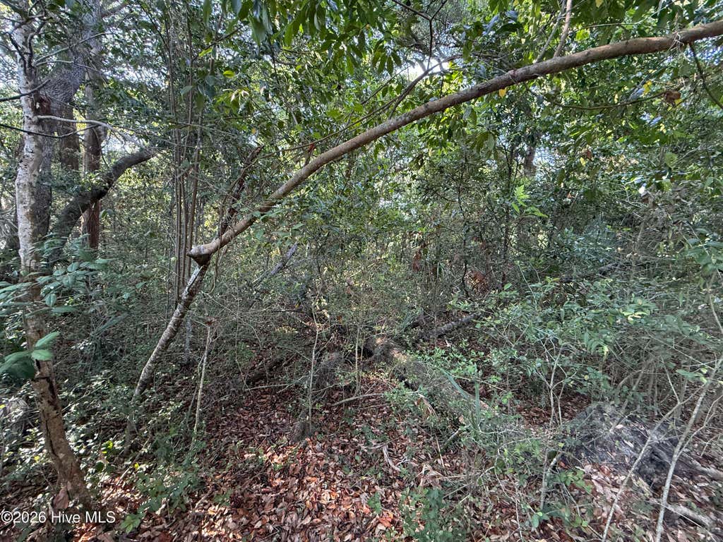 Photo of 207 Stede Bonnet Wynd, Bald Head Island, NC 28461 (MLS # 100581428)