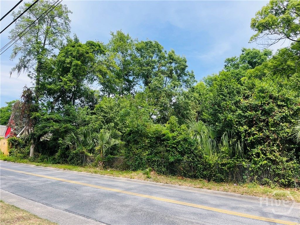 Photo of 0 Skidaway Road, Savannah, GA 31404 (MLS # SA354432)