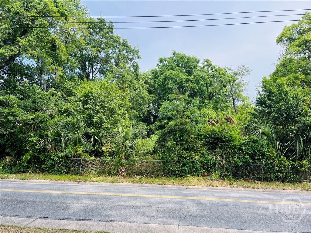 Photo of 0 Skidaway Road, Savannah, GA 31404 (MLS # SA354432)