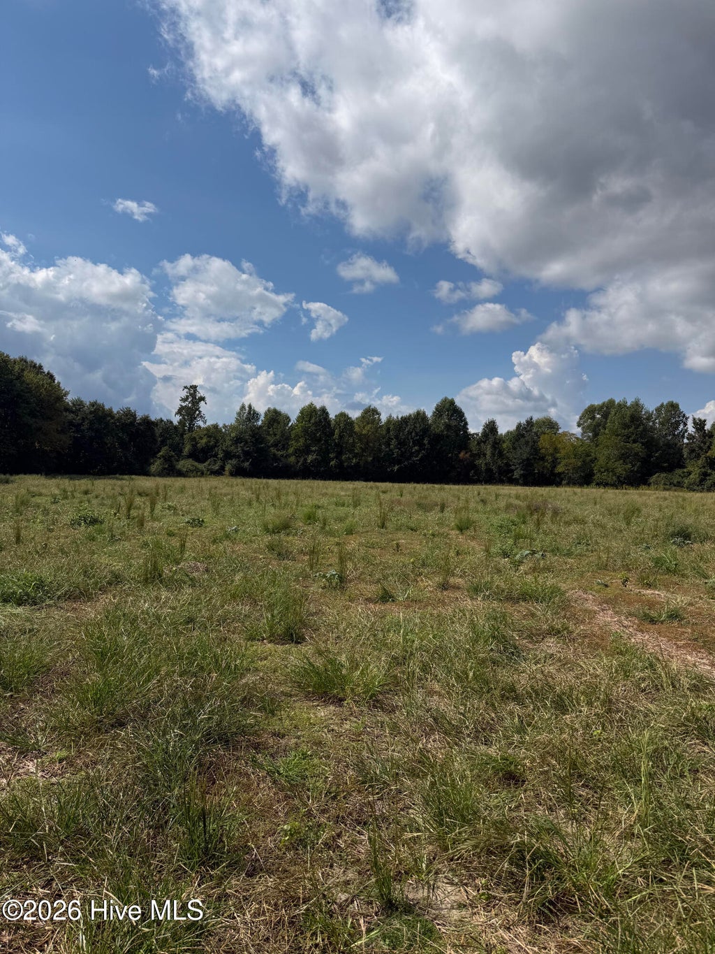 Photo of Tbd Haywood Smith Road, Hertford, NC 27944 (MLS # 100608236)